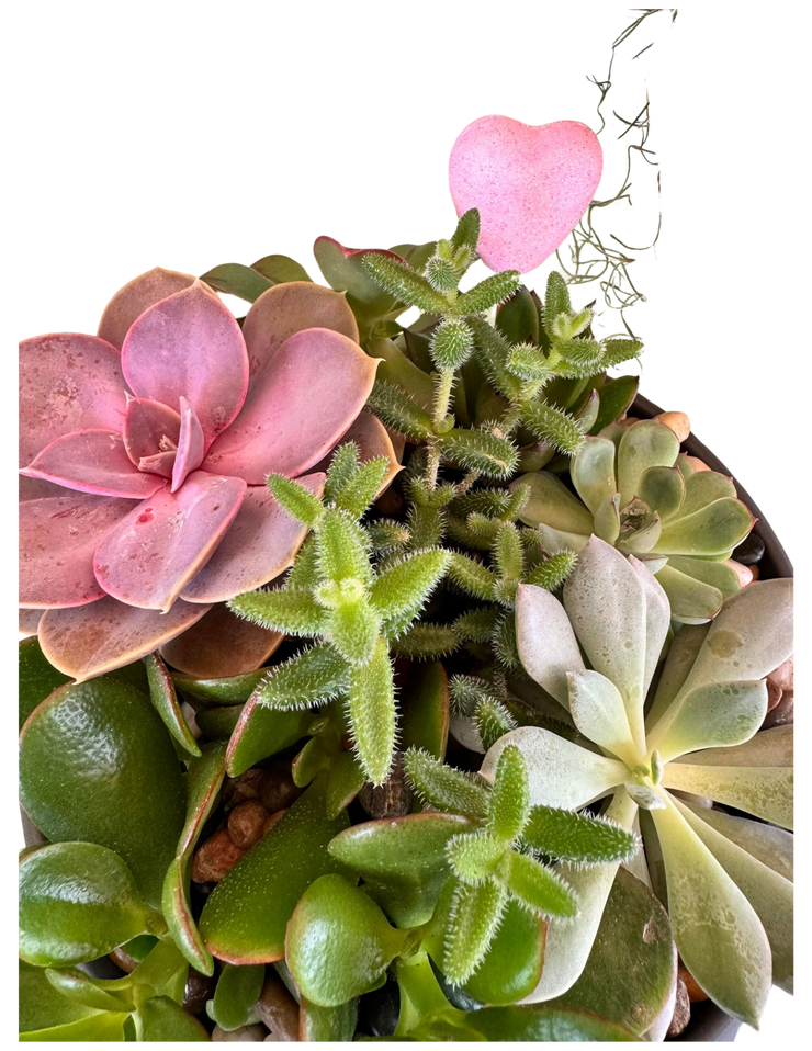 Country Garden