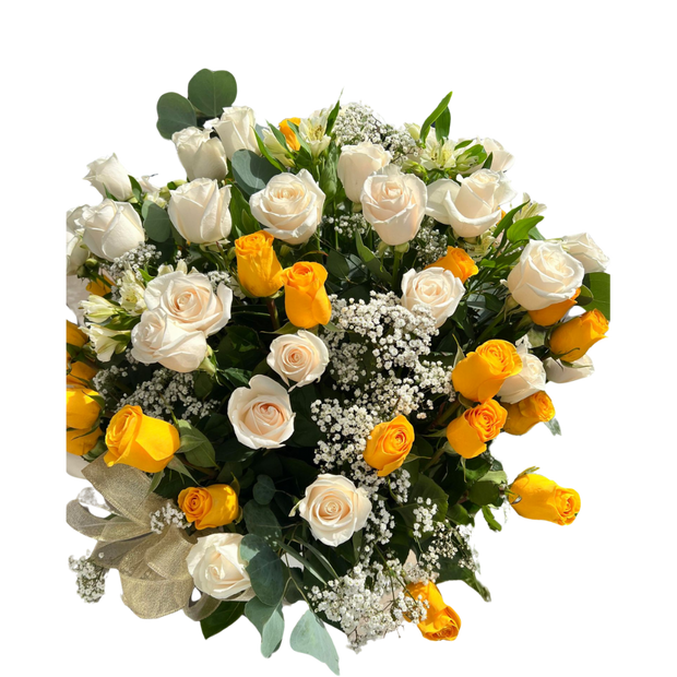 Enchanted white garden rose