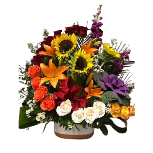 Zinnia